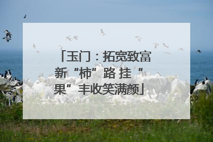 玉门：拓宽致富新“柿”路 挂“果”丰收笑满颜