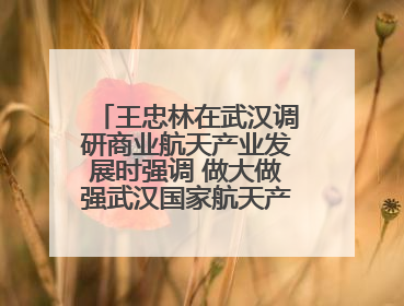 王忠林在武汉调研商业航天产业发展时强调 做大做强武汉国家航天产业基地 打造具有全国影响力的“中国星谷”