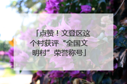 点赞！文登区这个村获评“全国文明村”荣誉称号
