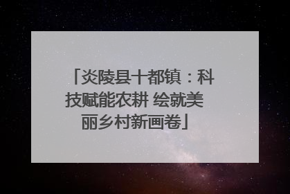 炎陵县十都镇：科技赋能农耕 绘就美丽乡村新画卷
