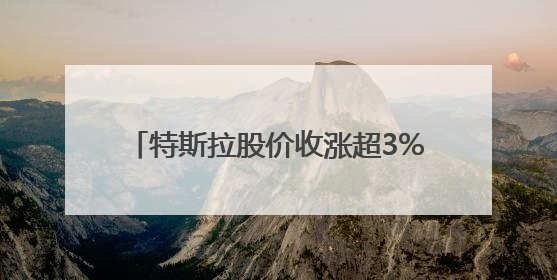 特斯拉股价收涨超3%：特朗普无意沟通，马斯克父亲劝儿子低头