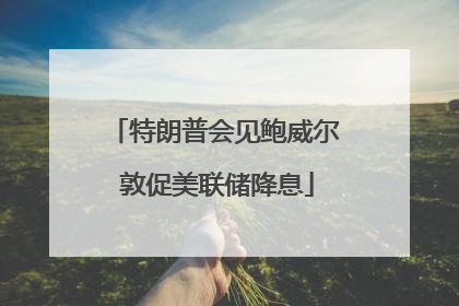 特朗普会见鲍威尔 敦促美联储降息