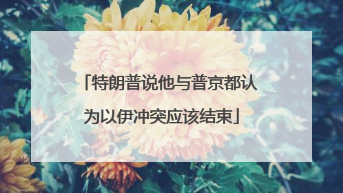 特朗普说他与普京都认为以伊冲突应该结束