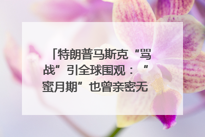 特朗普马斯克“骂战”引全球围观：“蜜月期”也曾亲密无间｜国际观察