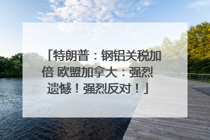特朗普：钢铝关税加倍 欧盟加拿大：强烈遗憾！强烈反对！