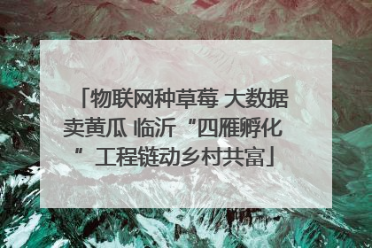 物联网种草莓 大数据卖黄瓜 临沂“四雁孵化”工程链动乡村共富