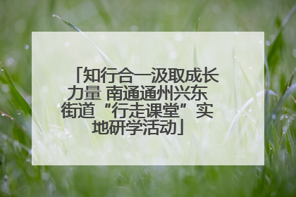 知行合一汲取成长力量 南通通州兴东街道“行走课堂”实地研学活动