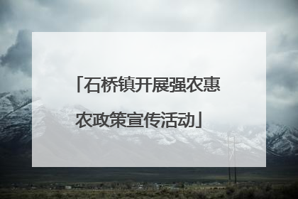 石桥镇开展强农惠农政策宣传活动