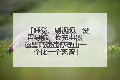 睡觉、刷视频、设置导航、找充电器 这些高速违停理由一个比一个离谱