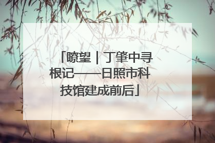 瞭望｜丁肇中寻根记——日照市科技馆建成前后