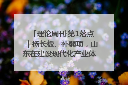 理论周刊·第1落点｜扬长板、补弱项，山东在建设现代化产业体系上“大有可为”