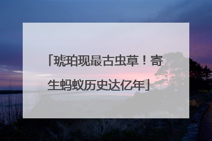 琥珀现最古虫草！寄生蚂蚁历史达亿年