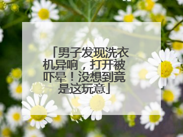 男子发现洗衣机异响，打开被吓晕！没想到竟是这玩意