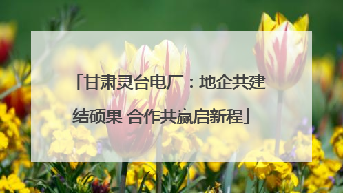 甘肃灵台电厂：地企共建结硕果 合作共赢启新程