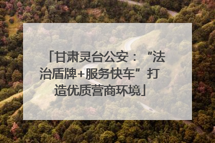 甘肃灵台公安：“法治盾牌+服务快车”打造优质营商环境