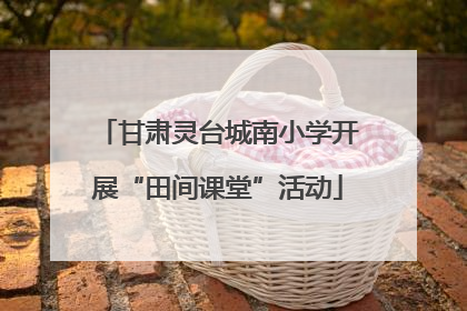 甘肃灵台城南小学开展“田间课堂”活动