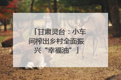甘肃灵台：小车间榨出乡村全面振兴“幸福油”