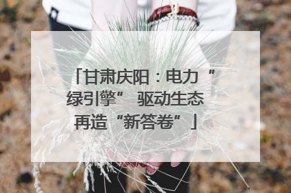 甘肃庆阳：电力“绿引擎” 驱动生态再造“新答卷”