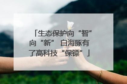 生态保护向“智”向“新” 白海豚有了高科技“保镖”