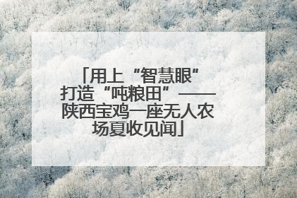 用上“智慧眼” 打造“吨粮田”——陕西宝鸡一座无人农场夏收见闻