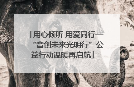 用心倾听 用爱同行——“音创未来光明行”公益行动温暖再启航
