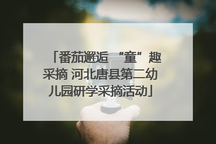 番茄邂逅 “童”趣采摘 河北唐县第二幼儿园研学采摘活动
