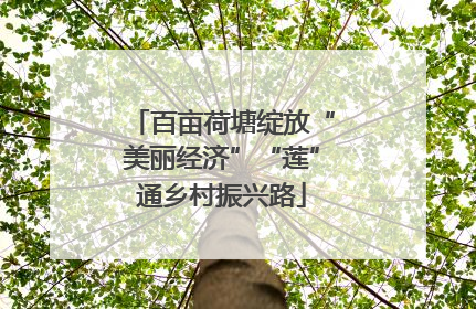 百亩荷塘绽放“美丽经济”“莲”通乡村振兴路