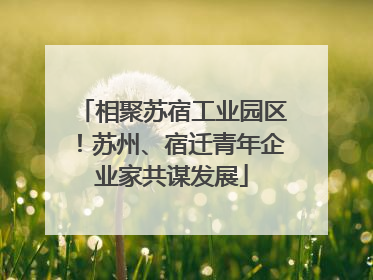 相聚苏宿工业园区！苏州、宿迁青年企业家共谋发展