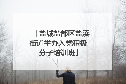 盐城盐都区盐渎街道举办入党积极分子培训班