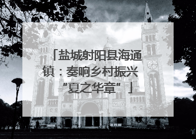 盐城射阳县海通镇：奏响乡村振兴“夏之华章”