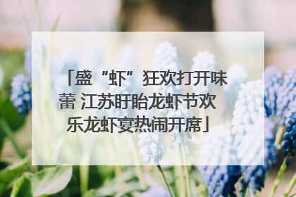 盛“虾”狂欢打开味蕾 江苏盱眙龙虾节欢乐龙虾宴热闹开席