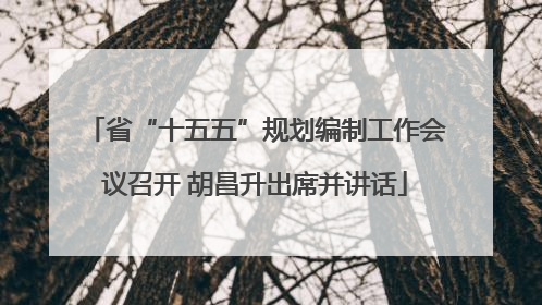 省“十五五”规划编制工作会议召开 胡昌升出席并讲话