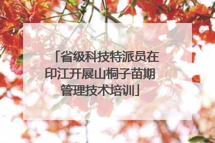 省级科技特派员在印江开展山桐子苗期管理技术培训