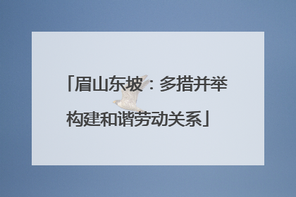 眉山东坡：多措并举构建和谐劳动关系