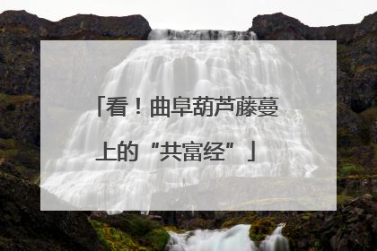 看！曲阜葫芦藤蔓上的“共富经”