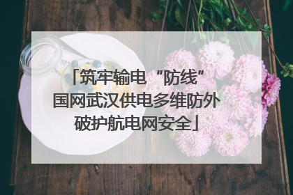 筑牢输电“防线” 国网武汉供电多维防外破护航电网安全