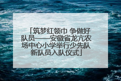 筑梦红领巾 争做好队员——安徽省龙亢农场中心小学举行少先队新队员入队仪式