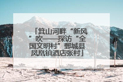 箕山河畔“新风”吹——探访“全国文明村”鄄城县凤凰镇酒店张村