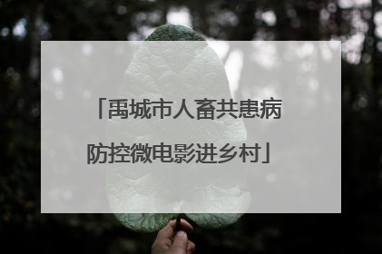 禹城市人畜共患病防控微电影进乡村