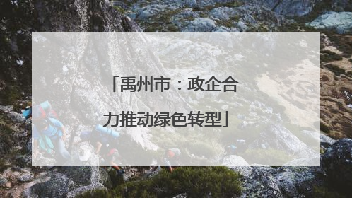 禹州市：政企合力推动绿色转型