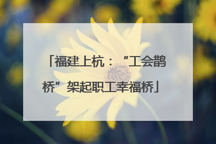 福建上杭：“工会鹊桥”架起职工幸福桥