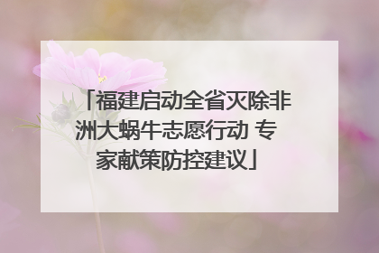 福建启动全省灭除非洲大蜗牛志愿行动 专家献策防控建议
