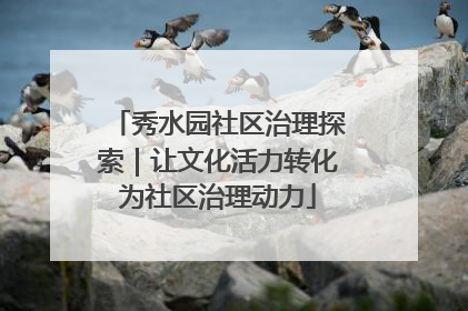 秀水园社区治理探索｜让文化活力转化为社区治理动力