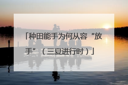 种田能手为何从容“放手”（三夏进行时）