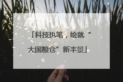 科技执笔，绘就“大国粮仓”新丰景