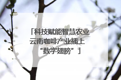 科技赋能智慧农业 云南咖啡产业插上“数字翅膀”