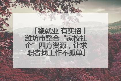 稳就业 有实招丨潍坊市整合“家校社企”四方资源，让求职者找工作不孤单