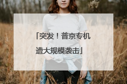 突发！普京专机遭大规模袭击