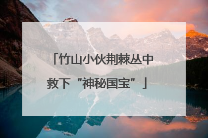 竹山小伙荆棘丛中救下“神秘国宝”
