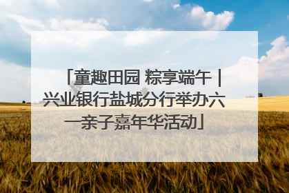 童趣田园 粽享端午｜兴业银行盐城分行举办六一亲子嘉年华活动